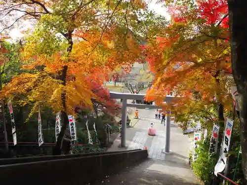 桃太郎神社（栗栖）の景色