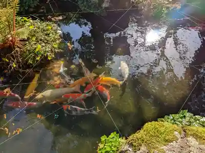 明通寺(福井県)