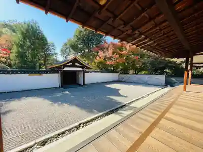 龍吟庵（竜吟庵）(京都府)