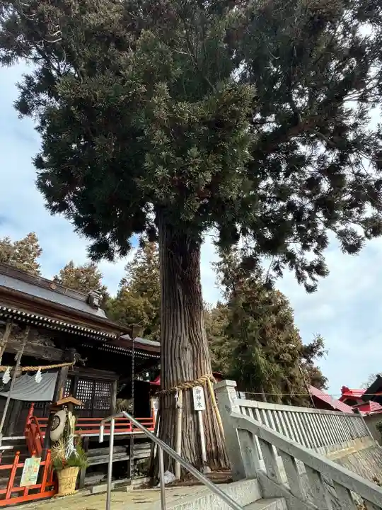 鼬幣稲荷神社(岩手県)