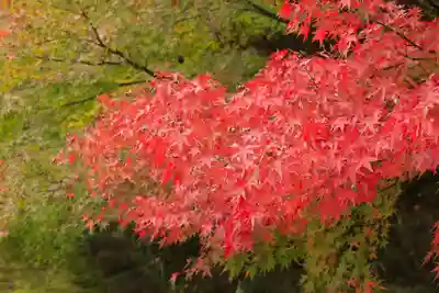 苗秀寺(京都府)