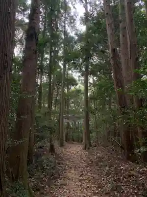 稲荷神社(千葉県)