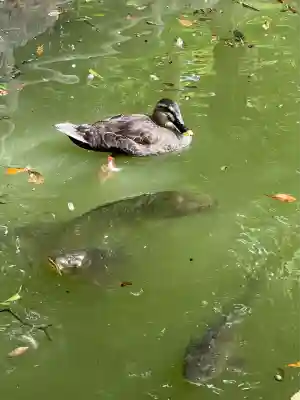 乃木神社(栃木県)