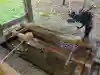 新発田諏訪神社(新潟県)