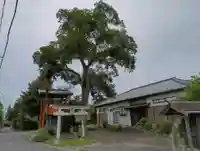 愛宕神社(茨城県)