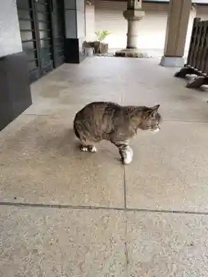 白金氷川神社(東京都)
