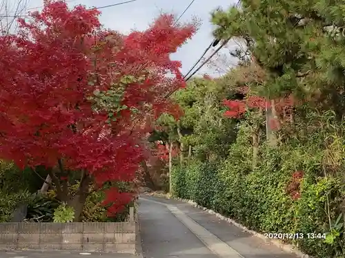 稲荷神社の自然