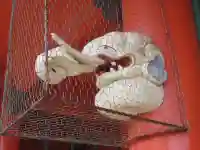 飯沼山 圓福寺(千葉県)