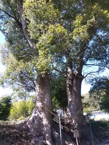 細江神社(静岡県)