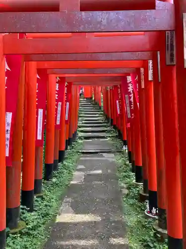 佐助稲荷神社の鳥居