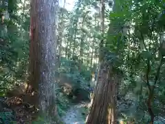 飛瀧神社（熊野那智大社別宮）(和歌山県)