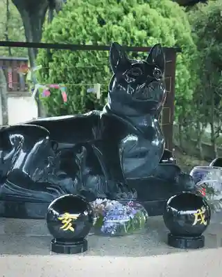 玉村八幡宮(群馬県)