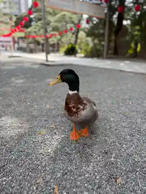 平塚八幡宮の{uncategorized: "未分類", other: "その他", undefined: "問題あり", building: "その他建物", grave: "お墓", sacred_gate: "鳥居", guardian: "狛犬", statue: "像", buddha: "仏像", history: "歴史", nature: "自然", garden: "庭園", animal: "動物", pagoda: "塔", temizu: "手水舎", mountain_gate: "山門・神門", sanctuary: "本殿・本堂", subordinate: "末社・摂社", art: "芸術", scenery: "景色", jizo: "地蔵", ema: "絵馬", goshuin: "御朱印", omikuji: "おみくじ", items: "授与品その他", amulet: "お守り", goshuincho: "御朱印帳", eats: "食事", festival: "お祭り", votive_dance: "神楽", shichigosan: "七五三参", wedding: "結婚式", experience: "体験その他", initially: "初詣", around: "周辺", anti_infection: "感染症対策"}
