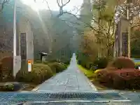 徳善院明王密寺の{uncategorized: "未分類", other: "その他", undefined: "問題あり", building: "その他建物", grave: "お墓", sacred_gate: "鳥居", guardian: "狛犬", statue: "像", buddha: "仏像", history: "歴史", nature: "自然", garden: "庭園", animal: "動物", pagoda: "塔", temizu: "手水舎", mountain_gate: "山門・神門", sanctuary: "本殿・本堂", subordinate: "末社・摂社", art: "芸術", scenery: "景色", jizo: "地蔵", ema: "絵馬", goshuin: "御朱印", omikuji: "おみくじ", items: "授与品その他", amulet: "お守り", goshuincho: "御朱印帳", eats: "食事", festival: "お祭り", votive_dance: "神楽", shichigosan: "七五三参", wedding: "結婚式", experience: "体験その他", initially: "初詣", around: "周辺", anti_infection: "感染症対策"}