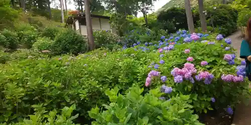 三室戸寺の庭園