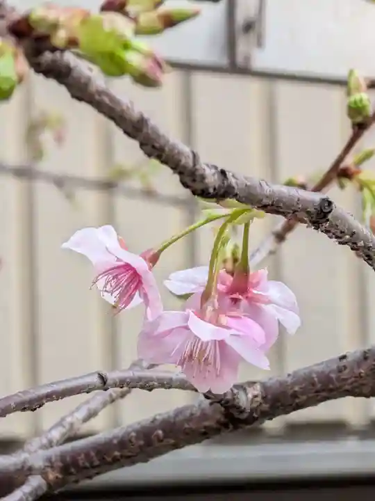 十番稲荷神社(東京都)
