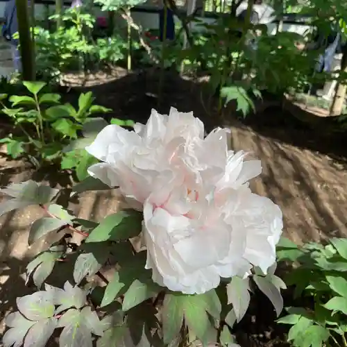 上野東照宮(東京都)