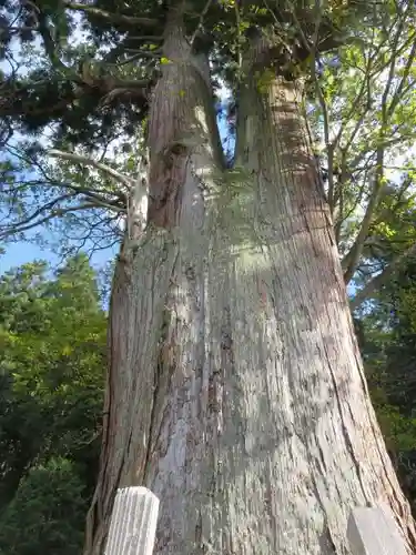 室生龍穴神社の自然