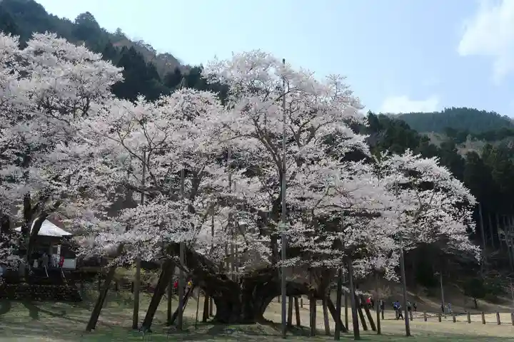 淡墨観音(岐阜県)