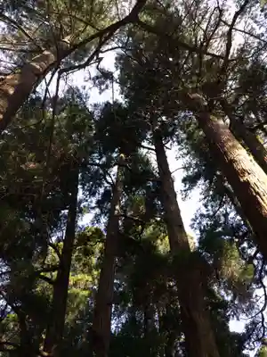 高千穂神社(宮崎県)
