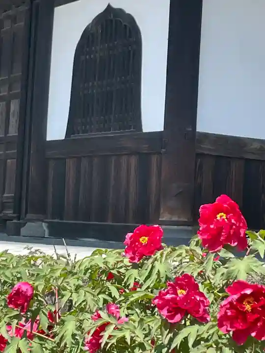 建仁寺(建仁禅寺)(京都府)