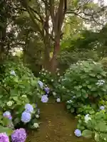 海寳寺(千葉県)