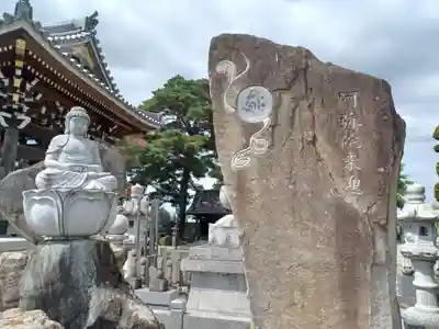 林光寺(埼玉県)