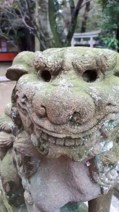 御香宮神社の狛犬