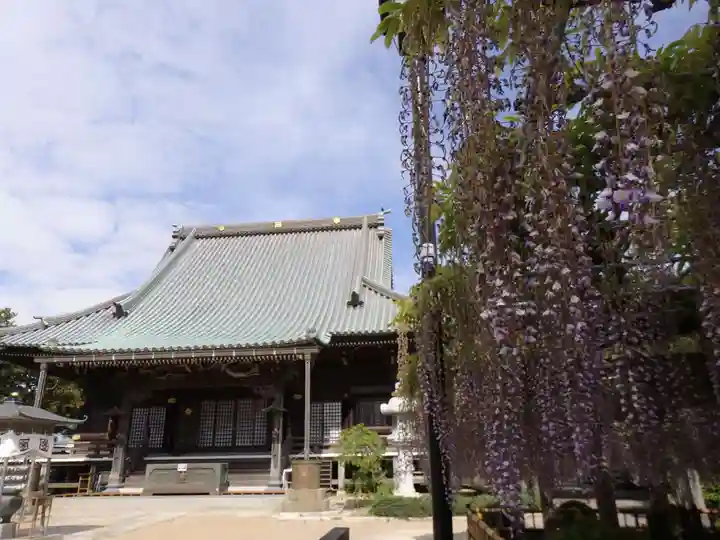 妙福寺の本殿・本堂
