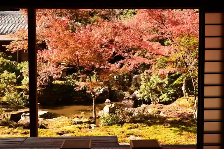 実相院門跡(京都府)