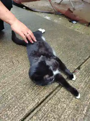 岡部春日神社～👹鬼門よけの🌺花咲く🌺やしろ～(福島県)