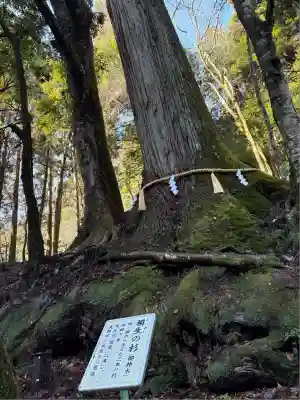 貴船神社(京都府)