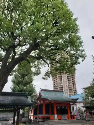 麻布氷川神社(東京都)