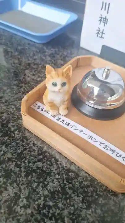 白金氷川神社の{uncategorized: "未分類", other: "その他", undefined: "問題あり", building: "その他建物", grave: "お墓", sacred_gate: "鳥居", guardian: "狛犬", statue: "像", buddha: "仏像", history: "歴史", nature: "自然", garden: "庭園", animal: "動物", pagoda: "塔", temizu: "手水舎", mountain_gate: "山門・神門", sanctuary: "本殿・本堂", subordinate: "末社・摂社", art: "芸術", scenery: "景色", jizo: "地蔵", ema: "絵馬", goshuin: "御朱印", omikuji: "おみくじ", items: "授与品その他", amulet: "お守り", goshuincho: "御朱印帳", eats: "食事", festival: "お祭り", votive_dance: "神楽", shichigosan: "七五三参", wedding: "結婚式", experience: "体験その他", initially: "初詣", around: "周辺", anti_infection: "感染症対策"}