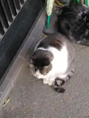 新照寺(東京都)