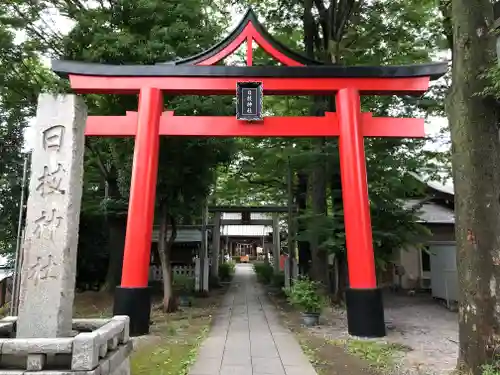 丸子山王日枝神社の鳥居