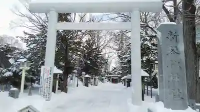 新琴似神社の鳥居