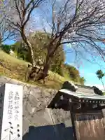 北新羽杉山神社の自然