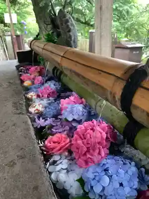 楽法寺(雨引観音)の手水舎