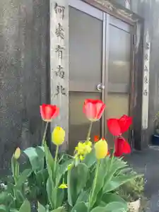 安用寺の自然(2022年04月08日(金) 14時30分38秒投稿)
