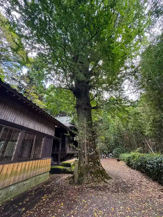 乙姫神社(熊本県)