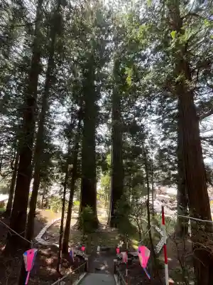 夏井諏訪神社(福島県)
