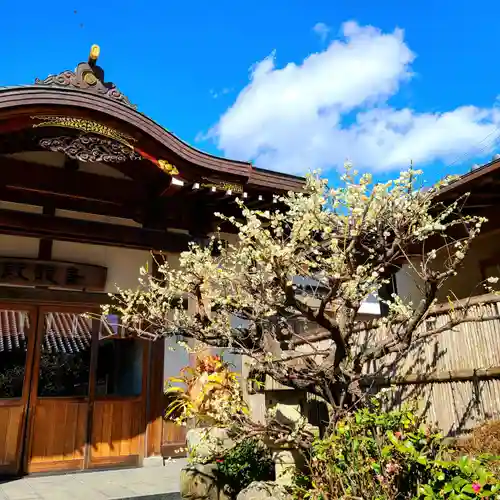 大歳神社の本殿