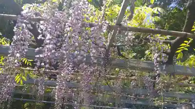 熊野神社の自然