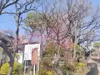 白山神社(東京都)