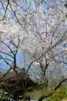 福仙寺(山口県)