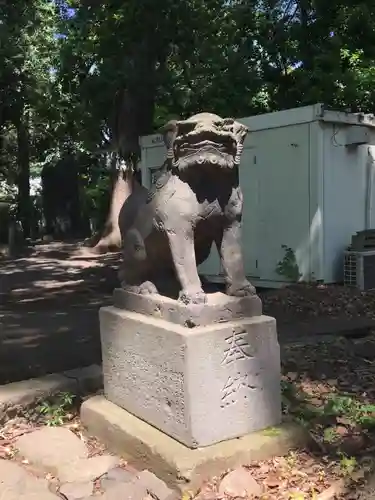 代々木八幡宮の狛犬