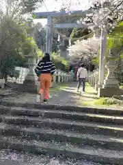 武社早尾神社(千葉県)