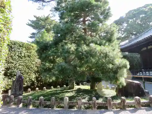 平等院のその他建物