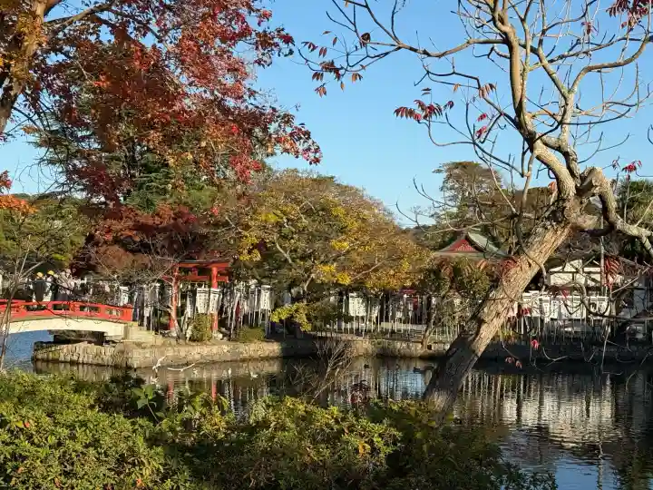 鶴岡八幡宮の自然